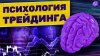 Скриншот 19-08-2026 113832.jpg